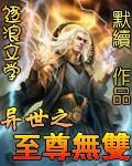 异世之至尊无双免费阅读